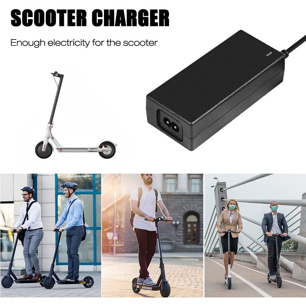 42V2A Charger