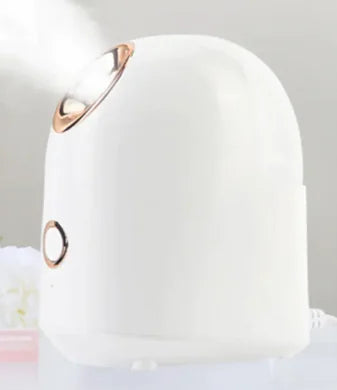 Radiant Skin Facial Steamer